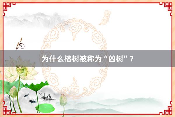 为什么榕树被称为“凶树”？