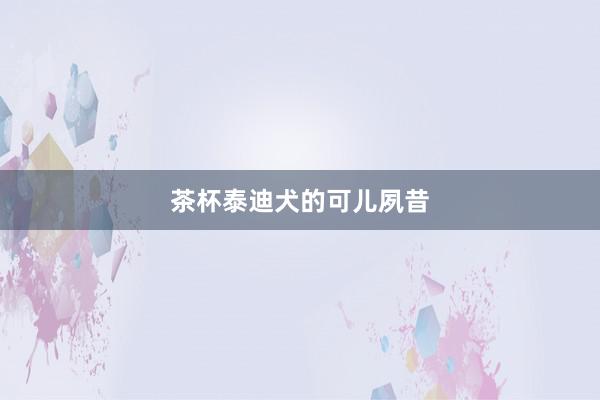 茶杯泰迪犬的可儿夙昔