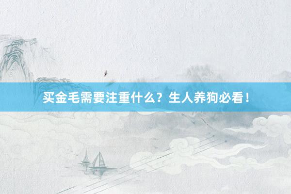 买金毛需要注重什么？生人养狗必看！
